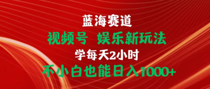 （10818期）蓝海赛道视频号 娱乐新玩法每天2小时小白也能日入1000+-聊项目