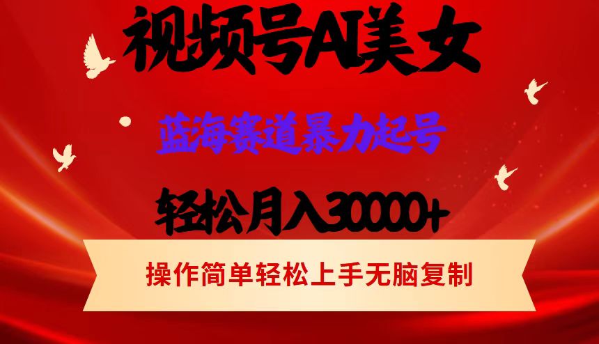 （12178期）视频号AI美女跳舞，轻松月入30000+，蓝海赛道，流量池巨大，起号猛，当…-孔明聊项目