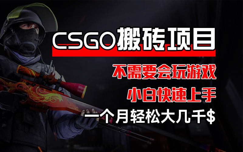 （12332期）CSGO 装备搬砖项目，操作简单，不需要会玩游戏，小白也能快速上手，一…-孔明聊项目