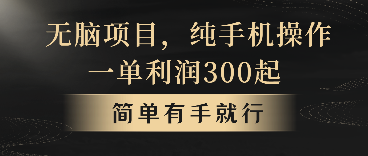 全网首发，翻身项目，年前最赚钱项目之一。收益翻倍！-孔明聊项目