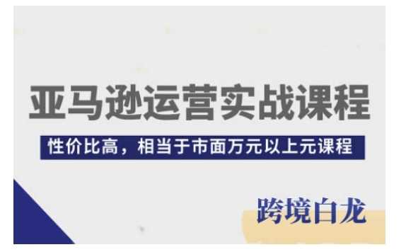 亚马逊运营实战课程，亚马逊从入门到精通，性价比高，相当于市面万元以上元课程-孔明聊项目