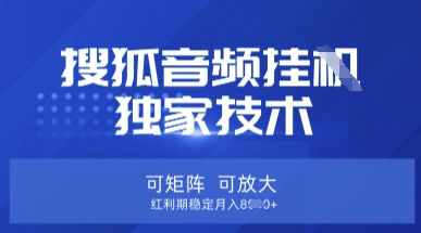 【搜狐音频挂G】独家技术，可矩阵可放大，红利期稳定月入8k【揭秘】-孔明聊项目