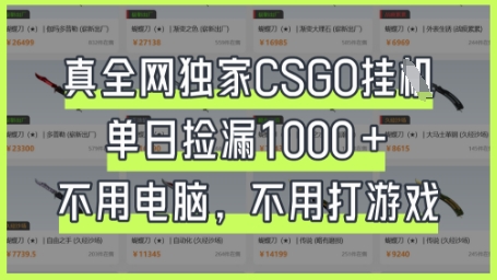 真全网独家CSGO挂G，单日捡漏1k+【揭秘】-孔明聊项目