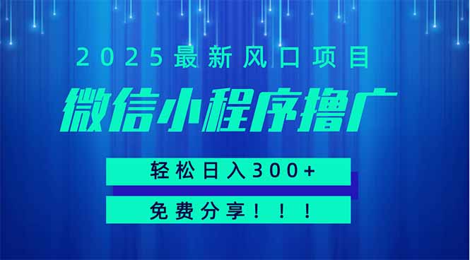 微信小程序撸广，最新风口项目，日入300+ 免费分享 可批量操作 小白可…-孔明聊项目