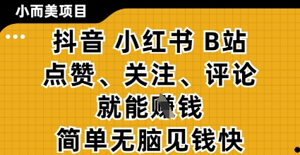 小而美的项目，抖音小红书B站视频点赞、关注、评论就能挣钱，简单无脑立见收益，妥妥的零撸项目【揭秘】-孔明聊项目