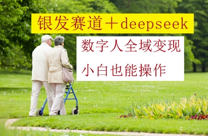 银发赛道+deepseek数字人全域变现，小白也能操作-孔明聊项目