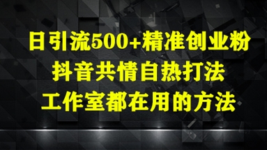 日引流500+精准创业粉，抖音共情自热打法，工作室都在用的方法-孔明聊项目