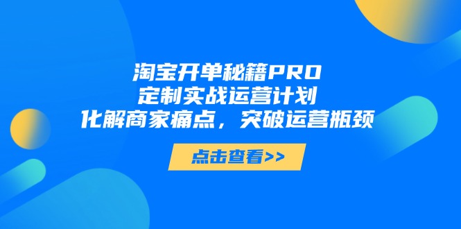 淘宝开单秘籍PRO，定制实战运营计划，化解商家痛点，突破运营瓶颈-孔明聊项目