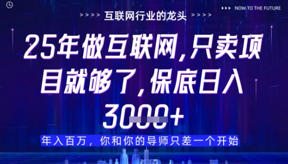 什么！25年你还在找项目做？风口早就变了，卖项目才是稳挣不赔【揭秘】-孔明聊项目