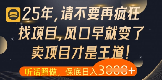 什么？25年你还在疯狂找项目做，醒醒吧，看完这些你全都懂了【揭秘】-孔明聊项目