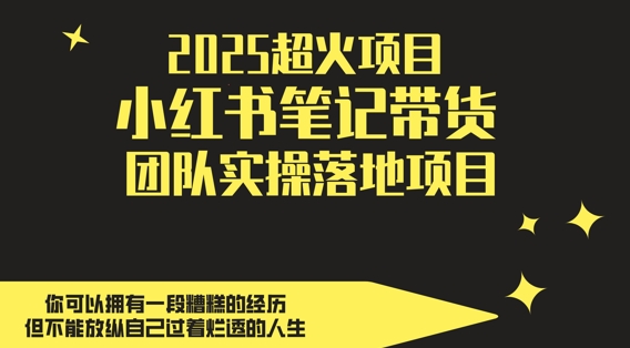 2025超火项目,副业最佳选择,小红书笔记带货团队实操落地项目,,轻松日入5张-孔明聊项目