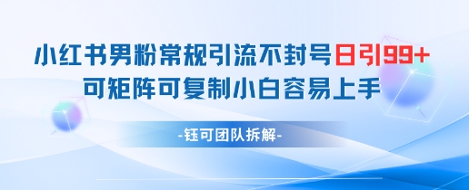 小红书男粉常规引流不封号日引99+变现简单 可矩阵可复制小白容易上手-孔明聊项目