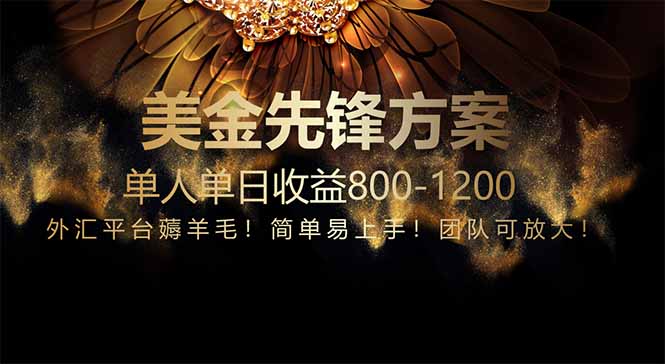 免费技术！小众赛道！一年布局抵三年努力，每日800+-孔明聊项目