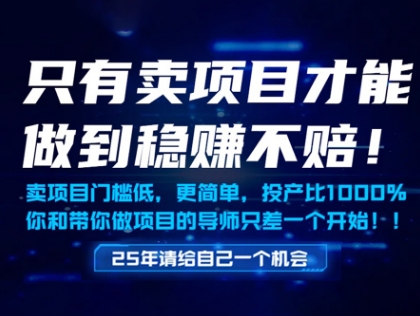 只有卖项目才能做到稳挣不赔，门槛低，更简单，你也可以年入百个W【揭秘】-孔明聊项目