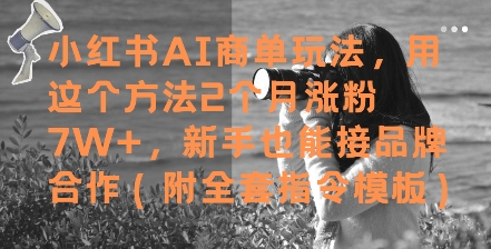 小红书AI商单玩法,用这个方法2个月涨粉7W+,新手也能接品牌合作(附全套指令模板)-孔明聊项目