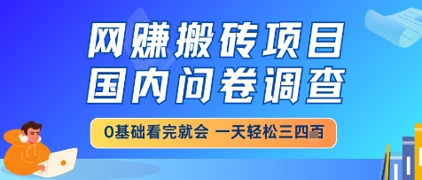 网创搬砖项目，国内问卷调查，小白轻松上手，一天三四张的也不难，干就完了【揭秘】-孔明聊项目