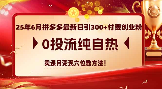 25年6月拼多多最新日引300+付费创业粉，0投流纯自热 卖课月变现六位数方法-孔明聊项目