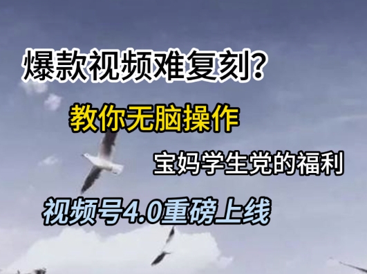 视频号4.0重磅上线，爆款视频难复刻？教你无脑操作宝妈学生党的福利【揭秘】-孔明聊项目