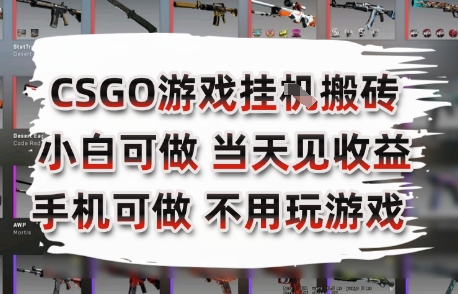 CSGO游戏挂G搬砖，小白纯手机即可操作，不用电脑打游戏，日入3张+，副业网创项目【揭秘】-孔明聊项目