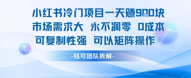 小红书冷门项目一天收益9张，市场需求大，0成本，可复制性强可以矩阵操作-孔明聊项目