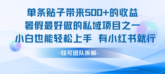 单条贴子带来5张的收益，暑假最好做的私域项目之一，小白也能轻松上手，有小红书就行-孔明聊项目