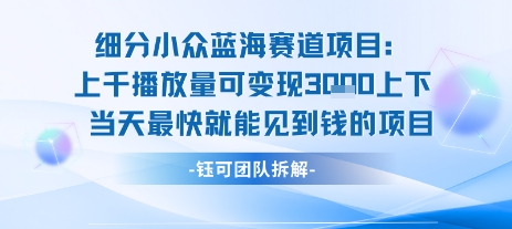 小众蓝海赛道项目：当天变现1k+适合新手操作 +适合长期玩-孔明聊项目