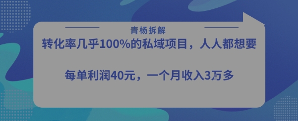 转化率最高的私域项目，每单利润40-50米，月入过1w-孔明聊项目