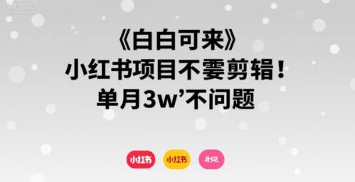 小白可来 小红书项目不需要剪辑 单月3w不是问题-孔明聊项目