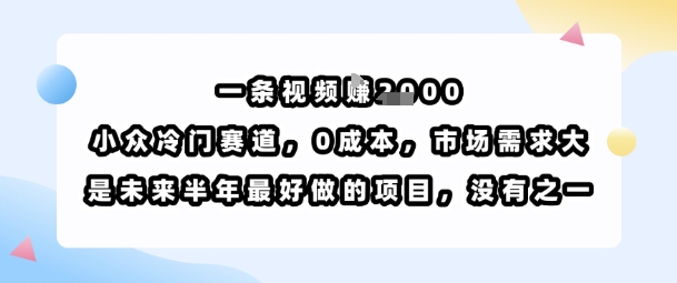 一条视频挣1k，小众冷门赛道，0成本，市场需求大，是未来半年最好做的项目，没有之一-孔明聊项目