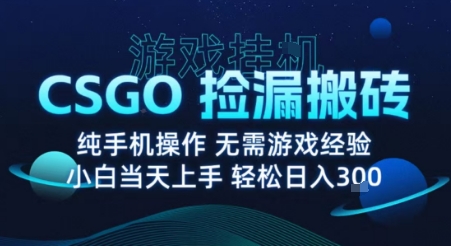 8月最新游戏搬砖，CSGO纯挂G，不需要玩游戏，实现真挂G，月入1W+【揭秘】-孔明聊项目
