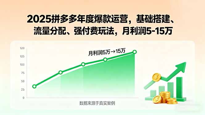 2025拼多多年度爆款运营，基础搭建、流量分配、强付费玩法，月利润5-15万-孔明聊项目