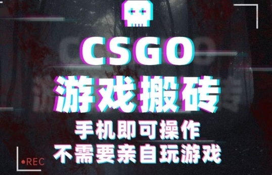 CSGO游戏挂G捡漏,单日扫货5张+,年底小高峰上车可吃肉,手机即可操作,兼职副业创业网创【揭秘】-孔明聊项目