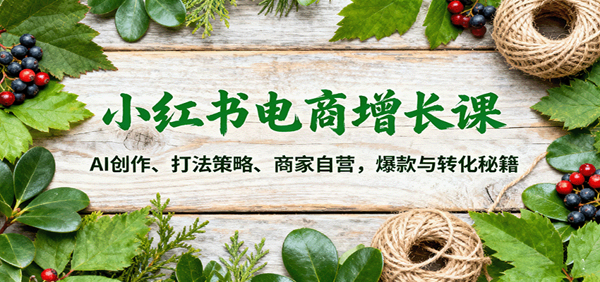 小红书电商增长课：AI创作、打法策略、商家自营，爆款与转化秘籍-孔明聊项目