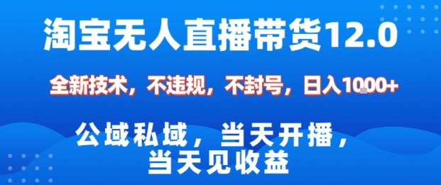 淘宝无人直播12.0，公域私域技术，不封号，不违规布局双十一流量风口，日入1k(独家技术)【揭秘】-孔明聊项目