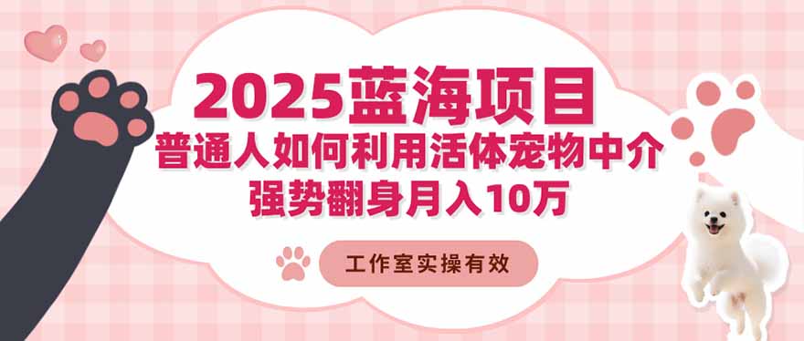 2025蓝海项目:普通人如何利用活体宠物中介,强势翻身月入10万-孔明聊项目