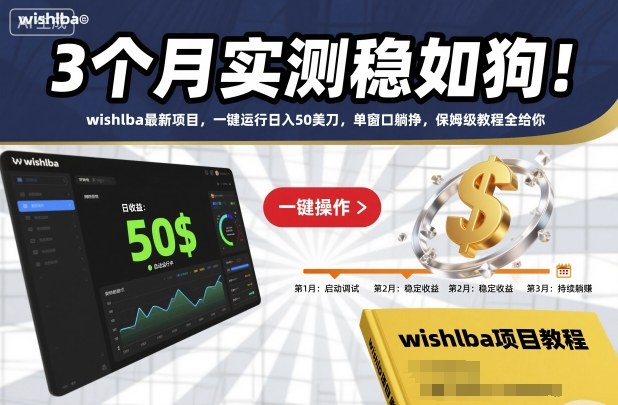 3个月实测稳如狗！wishlba最新项目，一键运行日入50美刀，单窗口躺挣，保姆级教程全给你【揭秘】-孔明聊项目