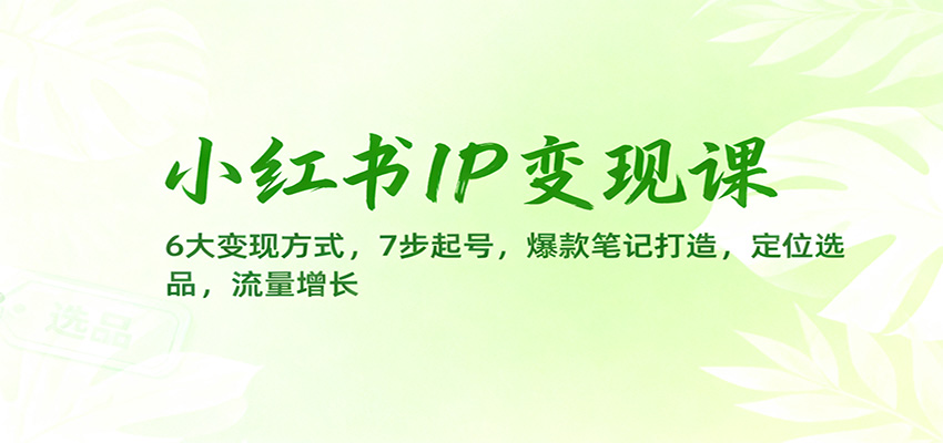 小红书IP变现课:6大变现方式,7步起号,爆款笔记打造,定位选品,流量增长-孔明聊项目