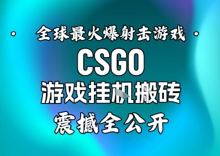 【年底大揭秘】基于全球最火爆的射击CSGO游戏挂G搬砖，日入5张+，震撼公开-孔明聊项目
