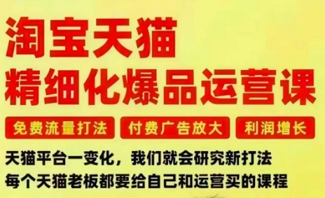 淘宝天猫精细化爆品运营课,免费流量打法-付费广告放大-利润增长-三大核心痛点,一次全部解决-孔明聊项目