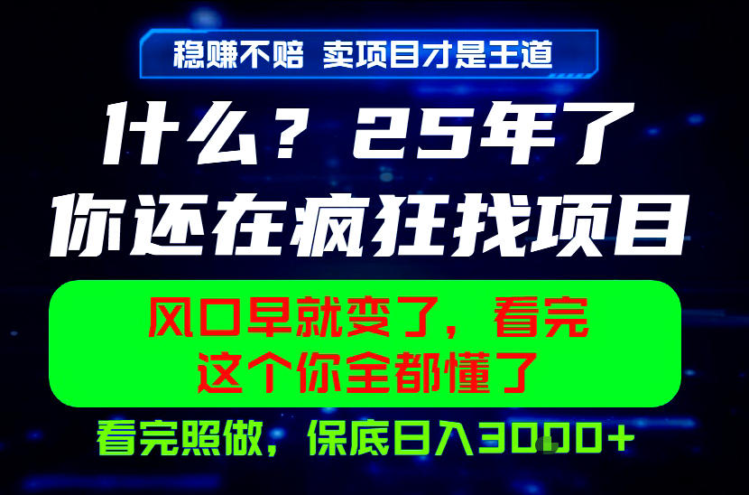 26年，请不要疯狂的找项目做了！卖项目才是真的稳賺不赔，看完照做，保底日入1k+【揭秘】-孔明聊项目