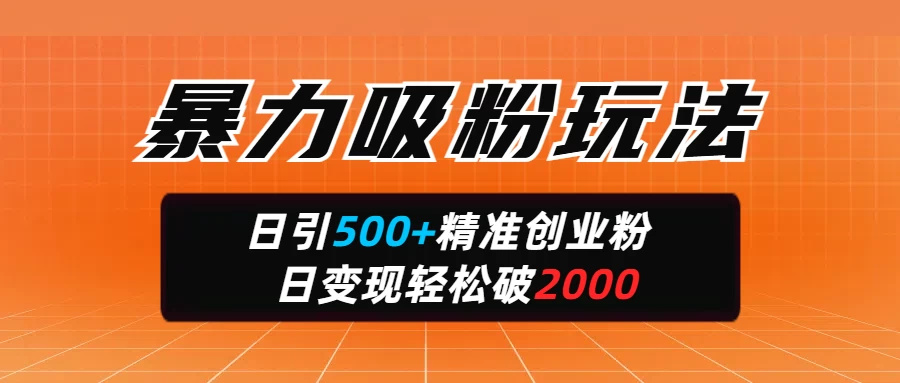 暴力吸粉玩法，日引500+精准创业粉，日变现轻松破2000-孔明聊项目